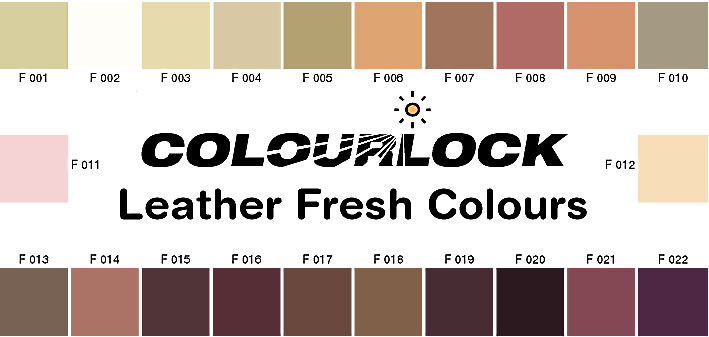 COLOURLOCK Leather Handbags Cleaner & Conditioner - Ideal kit to