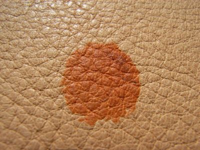 How to clean, care & protect Aniline leather